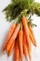 carrot | all vegetable's name