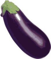 eggplant | all vegetable's name