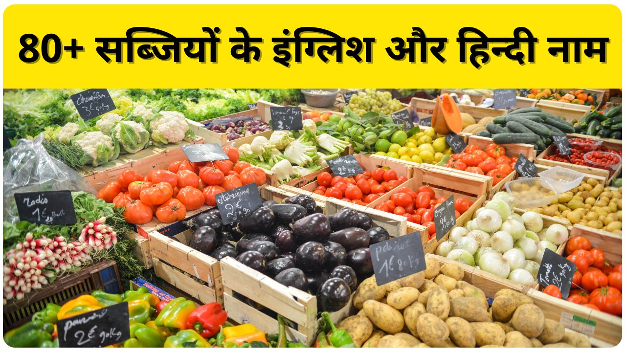 Vegetables Name in English and Hindi