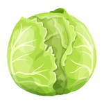 Cabbage min