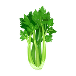 Celery min