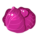 Red cabbage min